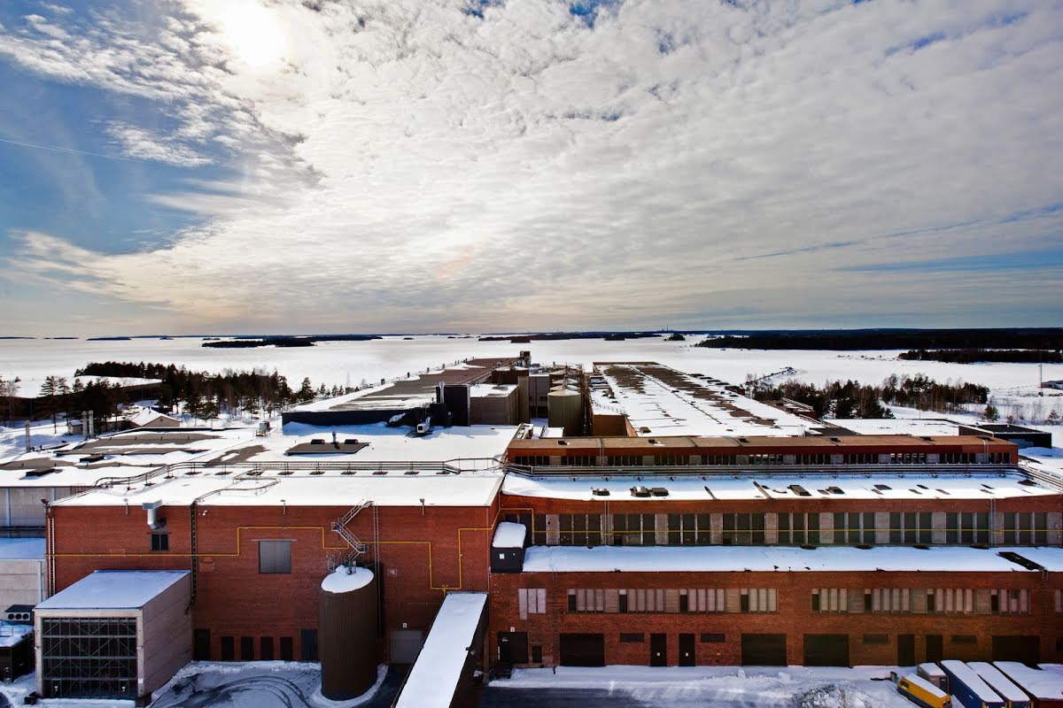 Hamina google